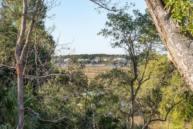 3894 Sawyers Island Dr, Mount Pleasant, SC 29466 - property view of water