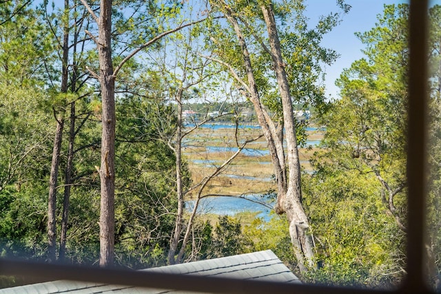 3894 Sawyers Island Dr, Mount Pleasant, SC 29466 - view of water feature