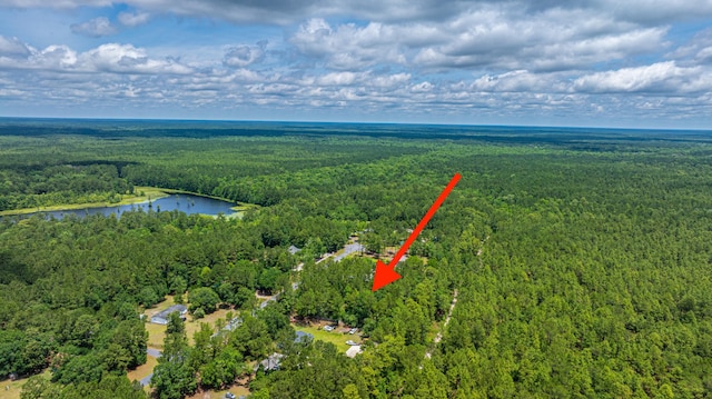 135 Timilstone Ct, Huger, SC 29450