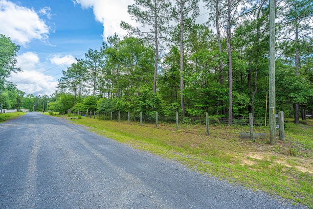 135 Timilstone Ct, Huger, SC 29450