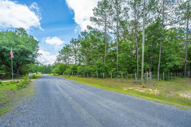 135 Timilstone Ct, Huger, SC 29450