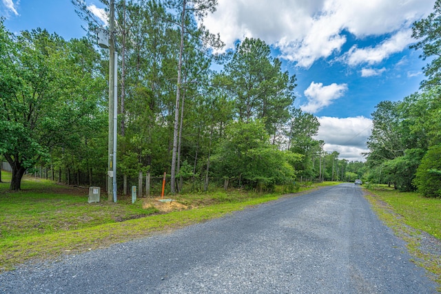 135 Timilstone Ct, Huger, SC 29450