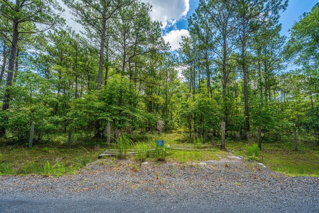 135 Timilstone Ct, Huger, SC 29450