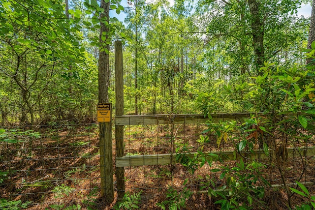 135 Timilstone Ct, Huger, SC 29450