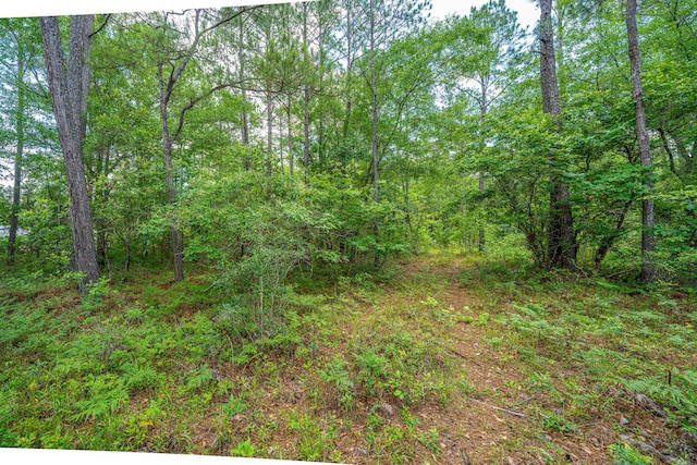 135 Timilstone Ct, Huger, SC 29450
