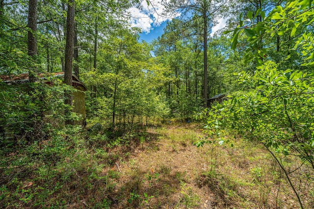 135 Timilstone Ct, Huger, SC 29450