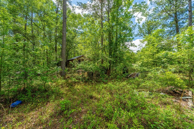 135 Timilstone Ct, Huger, SC 29450