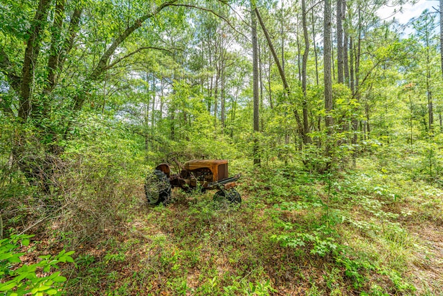 135 Timilstone Ct, Huger, SC 29450