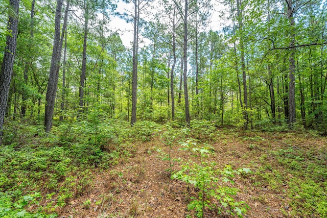 135 Timilstone Ct, Huger, SC 29450