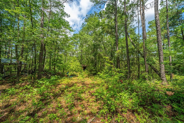 135 Timilstone Ct, Huger, SC 29450