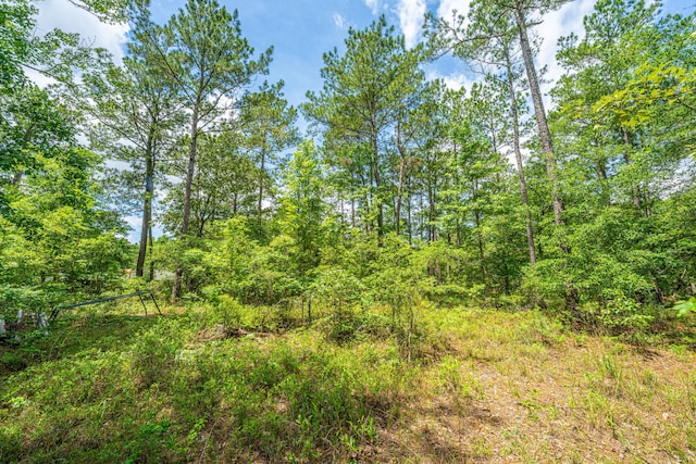 135 Timilstone Ct, Huger, SC 29450