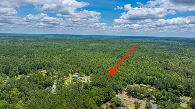 135 Timilstone Ct, Huger, SC 29450