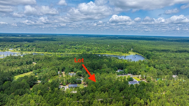 135 Timilstone Ct, Huger, SC 29450