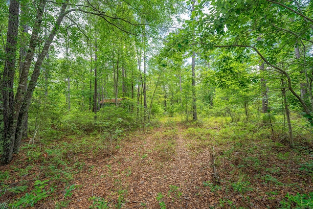 135 Timilstone Ct, Huger, SC 29450