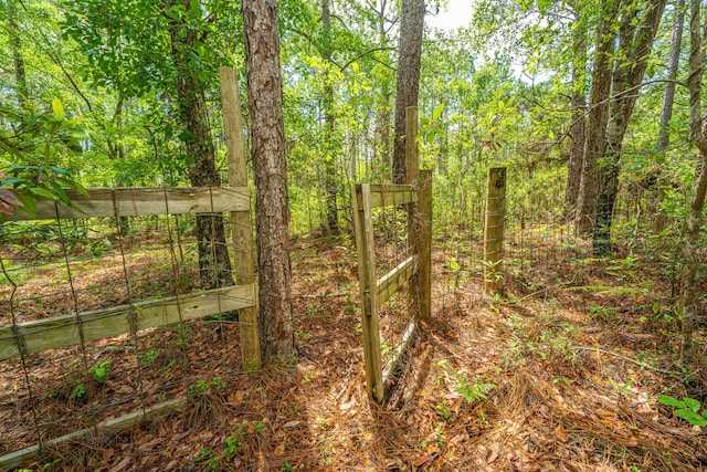 135 Timilstone Ct, Huger, SC 29450