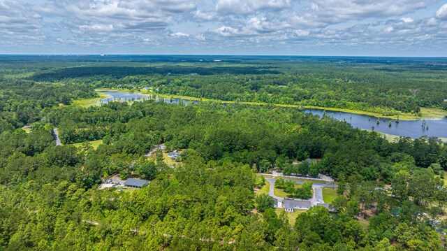 135 Timilstone Ct, Huger, SC 29450