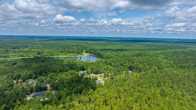 135 Timilstone Ct, Huger, SC 29450