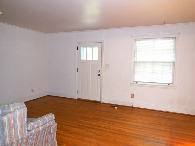 entryway featuring wood-type flooring