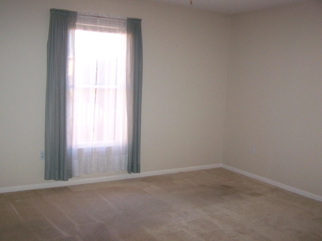 spare room with carpet floors