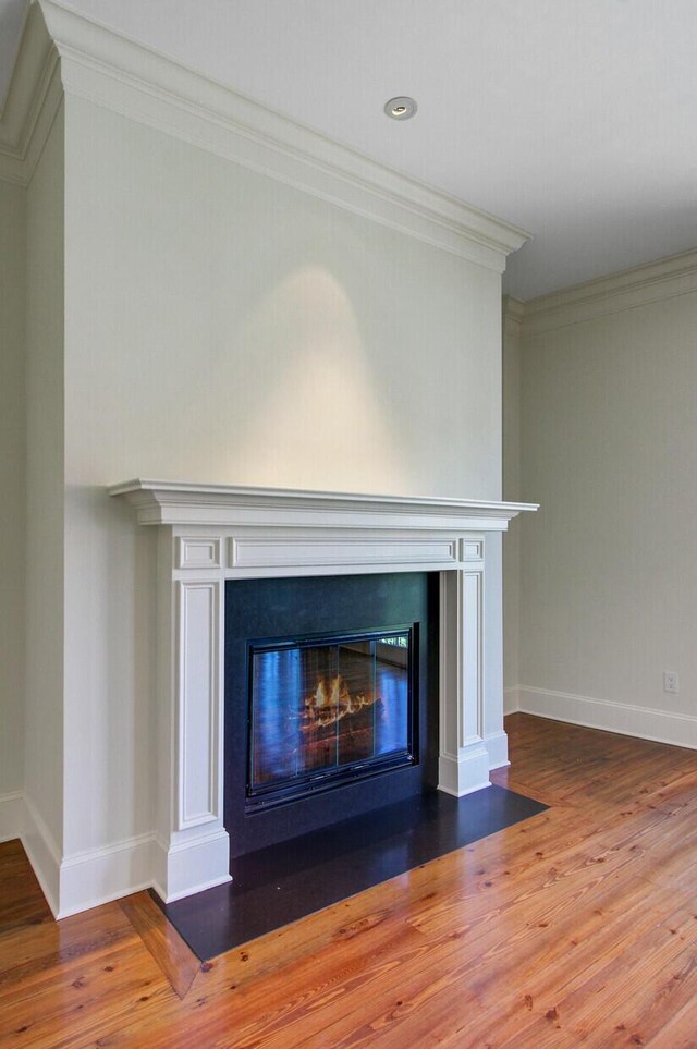 1 Vendue Range Range Unit I, Charleston, SC 29401 - detailed view of a fireplace with flush hearth, wood finished floors, baseboards, and ornamental molding