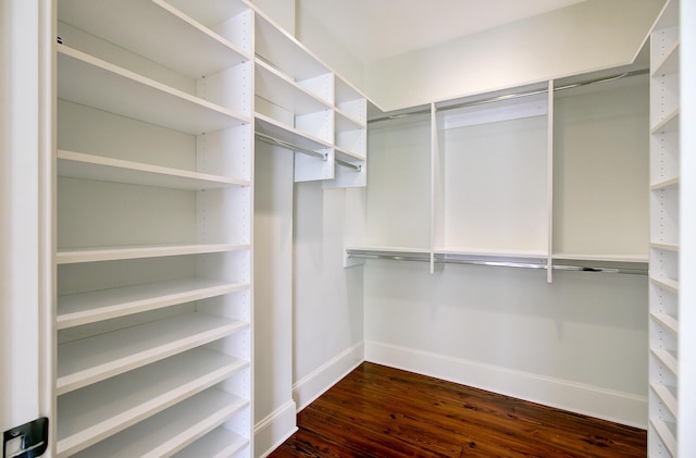 1 Vendue Range Range Unit I, Charleston, SC 29401 - walk in closet with dark wood-style flooring