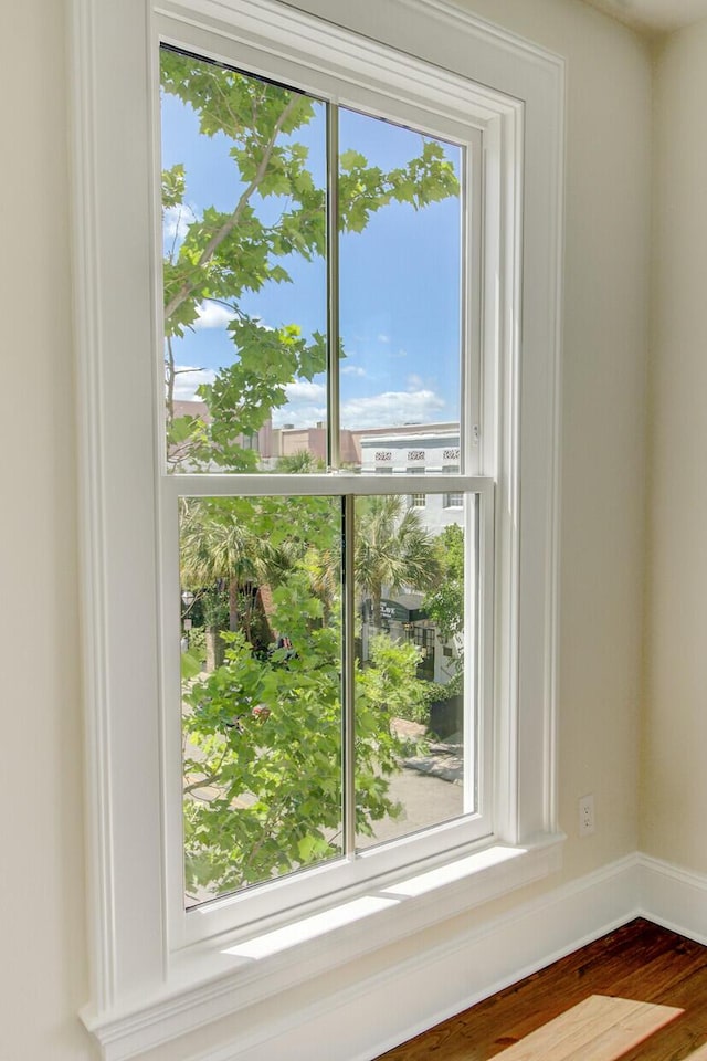 1 Vendue Range Range Unit I, Charleston, SC 29401 - detailed view of baseboards and wood finished floors