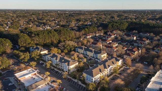 bird's eye view