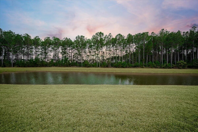 view of water feature