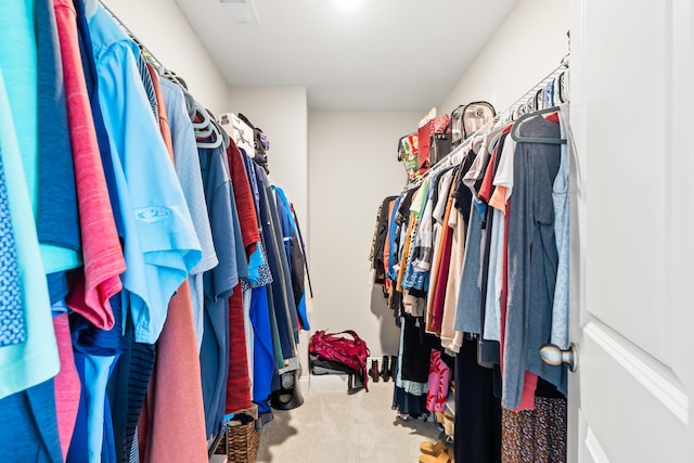 3010 Grinnell St, Johns Island, SC 29455 - spacious closet with carpet