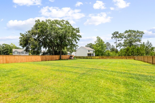 3010 Grinnell St, Johns Island, SC 29455 - view of yard