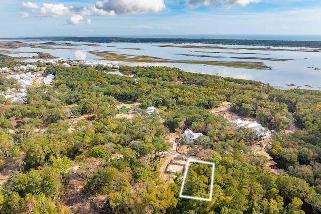 8179 Jack Island Dr, Johns Island SC, 29455 land for sale