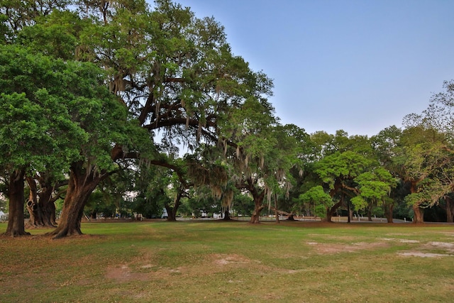 view of home's community with a lawn