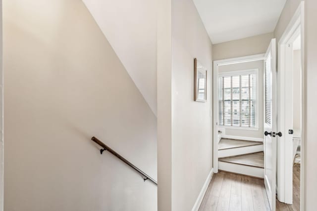 stairway with hardwood / wood-style flooring