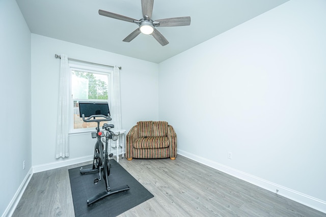 exercise room with hardwood / wood-style flooring and ceiling fan