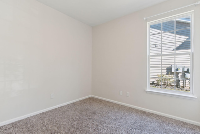 spare room featuring carpet flooring