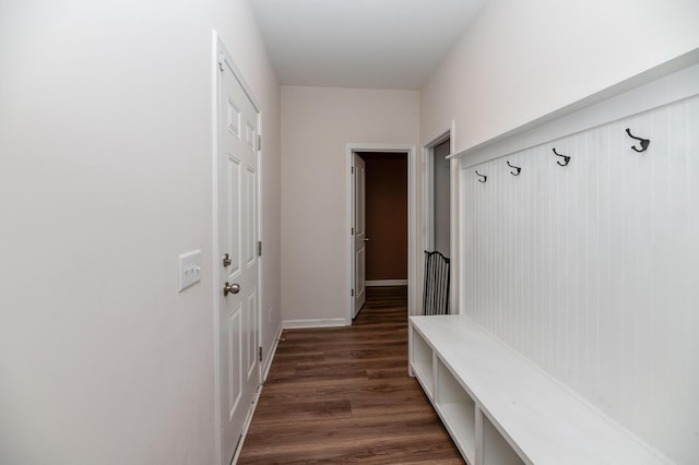 mudroom featuring dark wood-type flooring