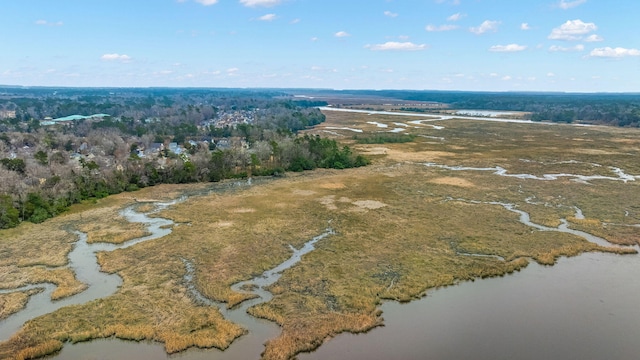 bird's eye view with a view of trees and a water view