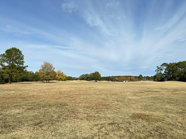 209 Myrtlewood Dr, Santee, SC 29142 - view of grassy yard