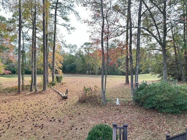 209 Myrtlewood Dr, Santee, SC 29142 - view of yard