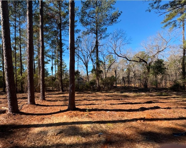 1030 Deer Trail Rd, Santee SC, 29142 land for sale