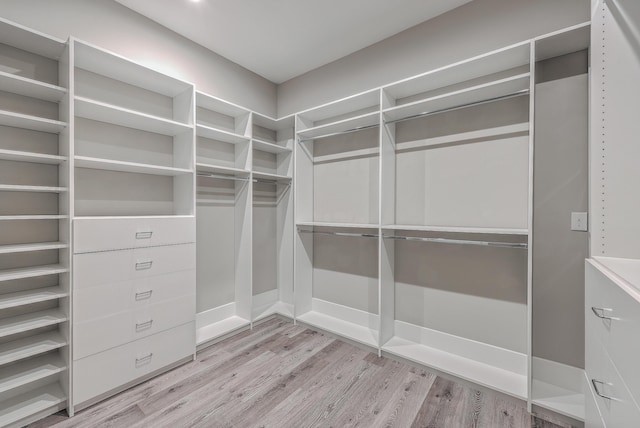 spacious closet featuring light wood-type flooring