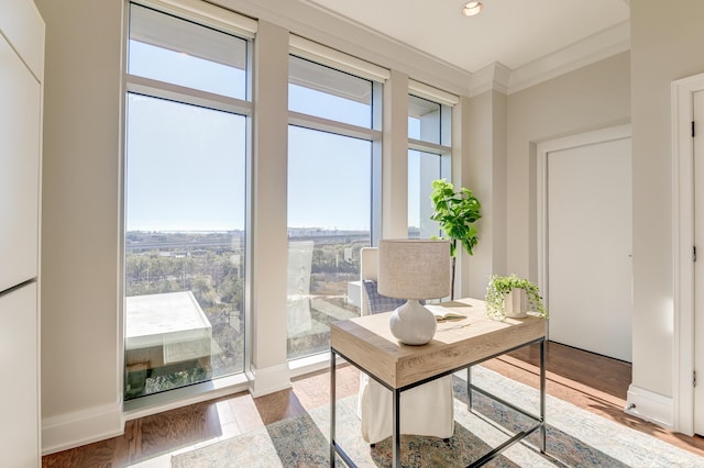 office space with hardwood / wood-style floors and crown molding