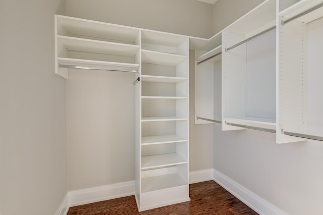 walk in closet with dark hardwood / wood-style floors