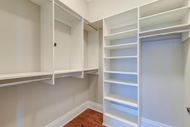 walk in closet featuring wood-type flooring