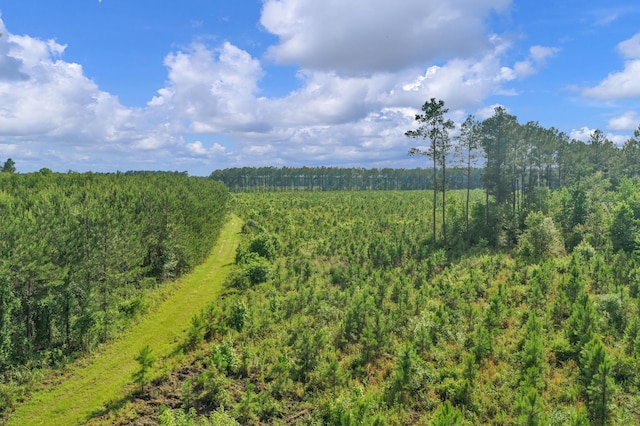 0000 N Brewington Rd Unit 3, Manning, SC 29102