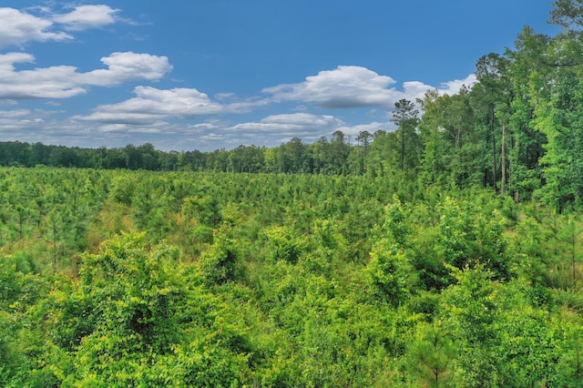 0000 N Brewington Rd Unit 3, Manning, SC 29102
