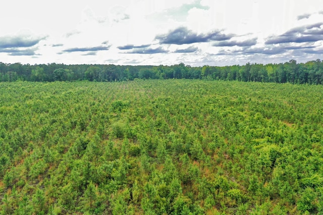 0000 N Brewington Rd Unit 3, Manning, SC 29102