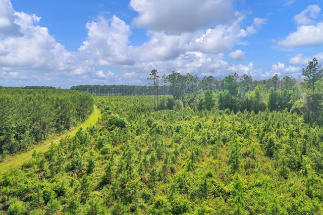 0000 N Brewington Rd Unit 3, Manning, SC 29102
