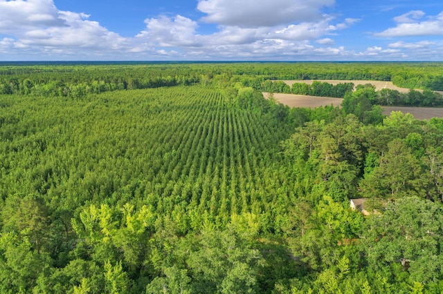 0000 N Brewington Rd Unit 3, Manning, SC 29102