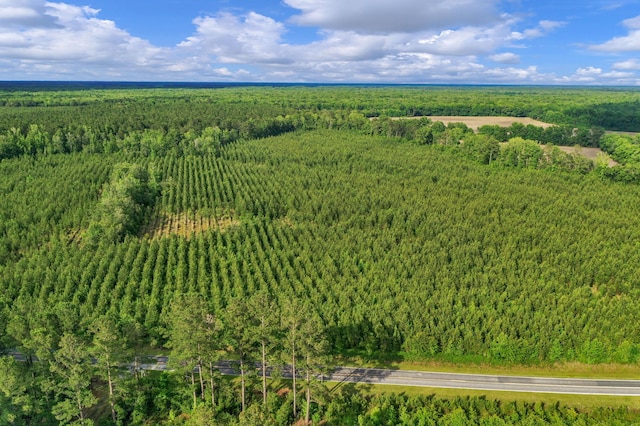 0000 N Brewington Rd Unit 3, Manning, SC 29102